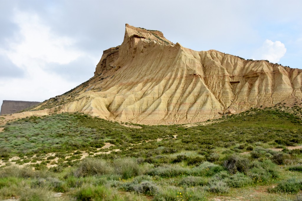DSC_6750